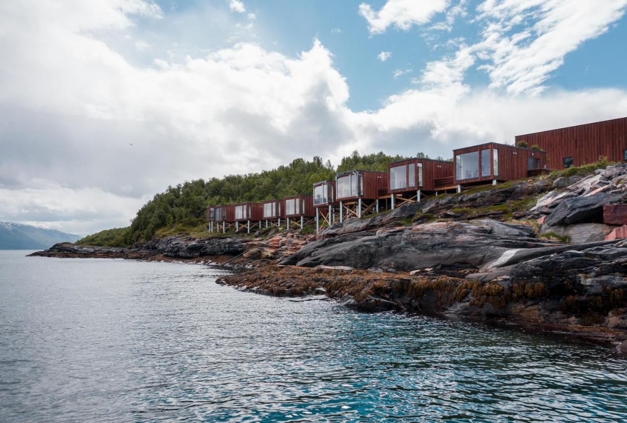 Aurora Fjord Cabins Lyngseidet Exterior photo